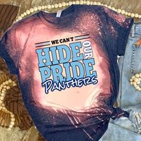 Load image into Gallery viewer, PANTHERS - N&amp;W - We Can&#39;t Hide Our Pride