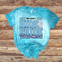 Load image into Gallery viewer, PANTHERS - N&amp;W - We Can&#39;t Hide Our Pride