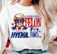 Load image into Gallery viewer, Mystery Political Grab Bag  S-6X - 2 Crewneck Sweatshirt or Tee Shirts