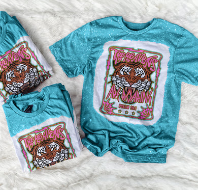 The Heavens Are Roaring - Psalm 19:1