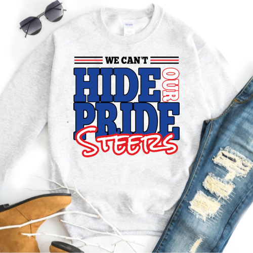STEERS - B&R - We Can't Hide Our Pride