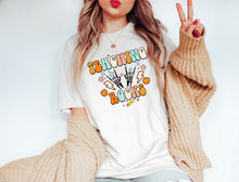 Load image into Gallery viewer, Teaching Rocks