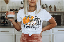 Load image into Gallery viewer, Thankful w/ Plaid &amp; Leopard Pumpkins - 6 Style Options