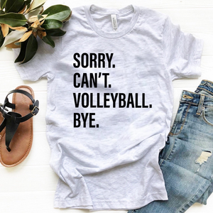 Sorry. Can't. VOLLEYBALL. Bye.