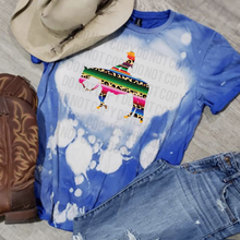 Load image into Gallery viewer, Western Quarter Horse Serape