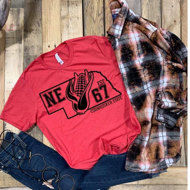 Nebraska State - NE w/ corn