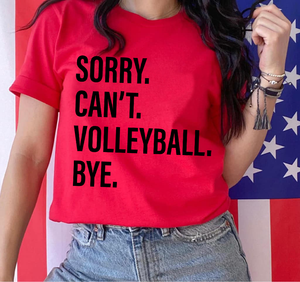 Sorry. Can't. VOLLEYBALL. Bye.